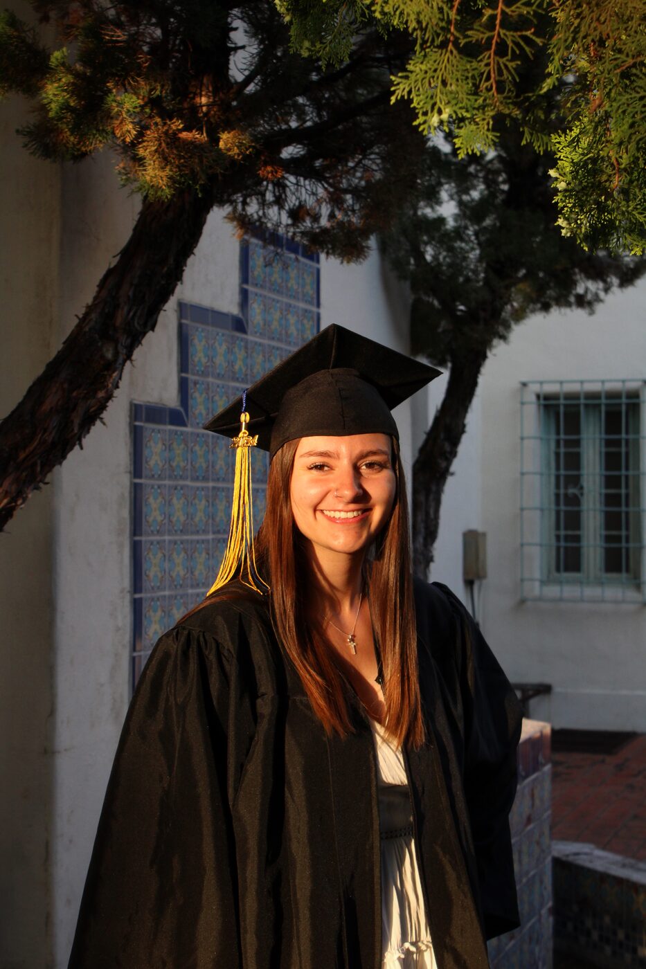 Senior portrait under a tree in golden light